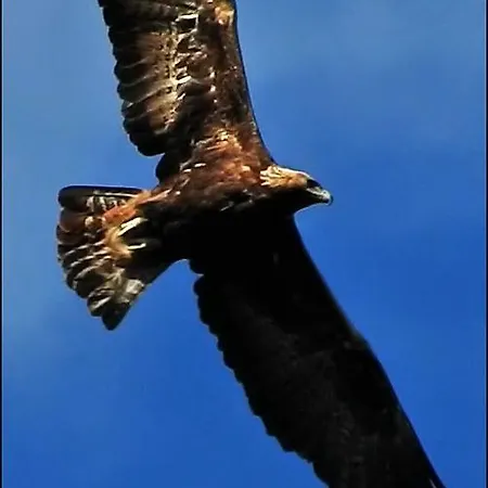 Alojamento de Acomodação e Pequeno-almoço Santa Lucia Dorgali